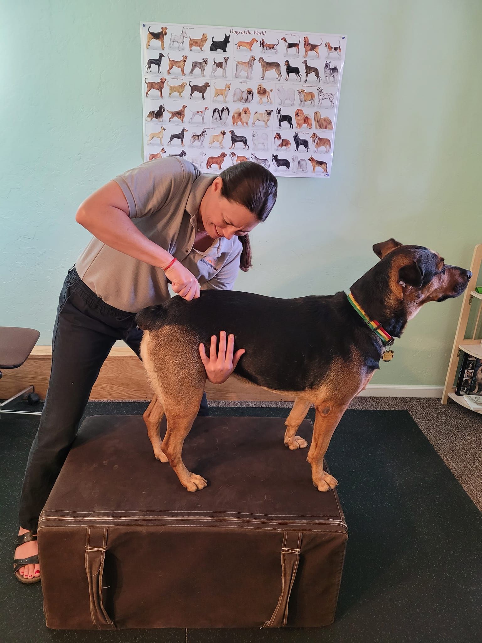 Kishbaugh Chiropractic