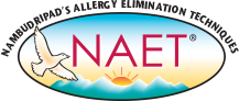 A logo for a company called naet with a bird and mountains in the background