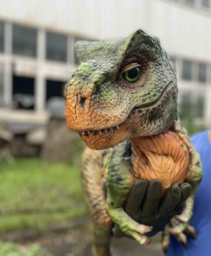 Winston the Baby T. rex