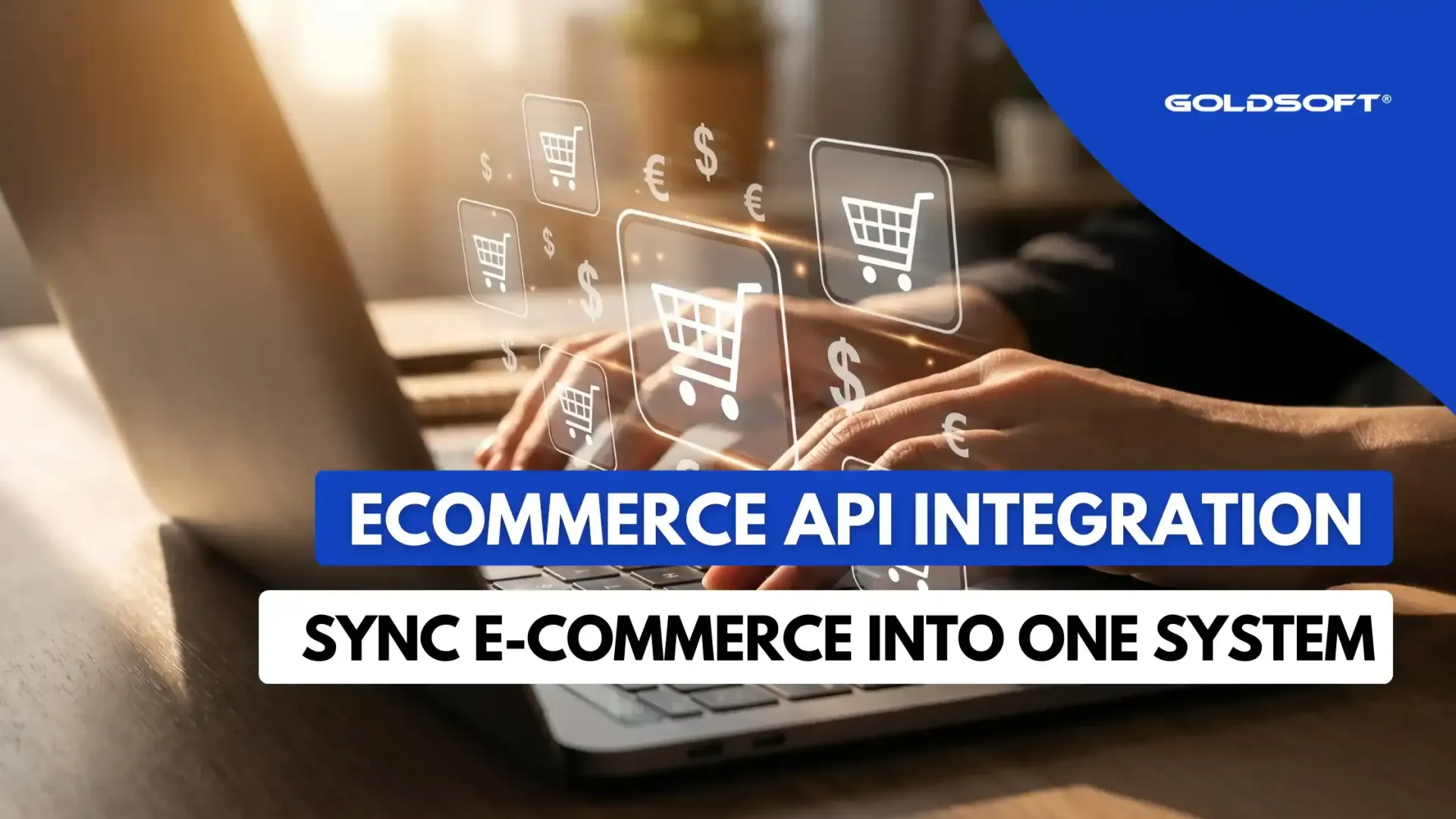 Goldsoft eCommerce API Integration