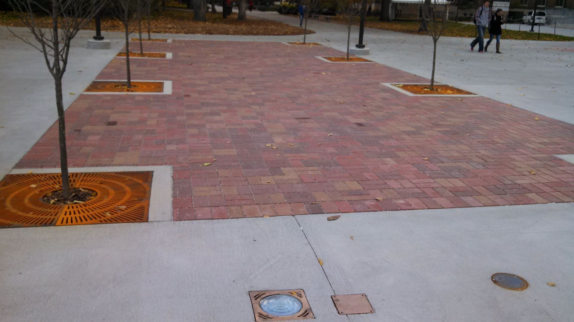 Brick plaza with young trees in square planters and a concrete walkway in the foreground