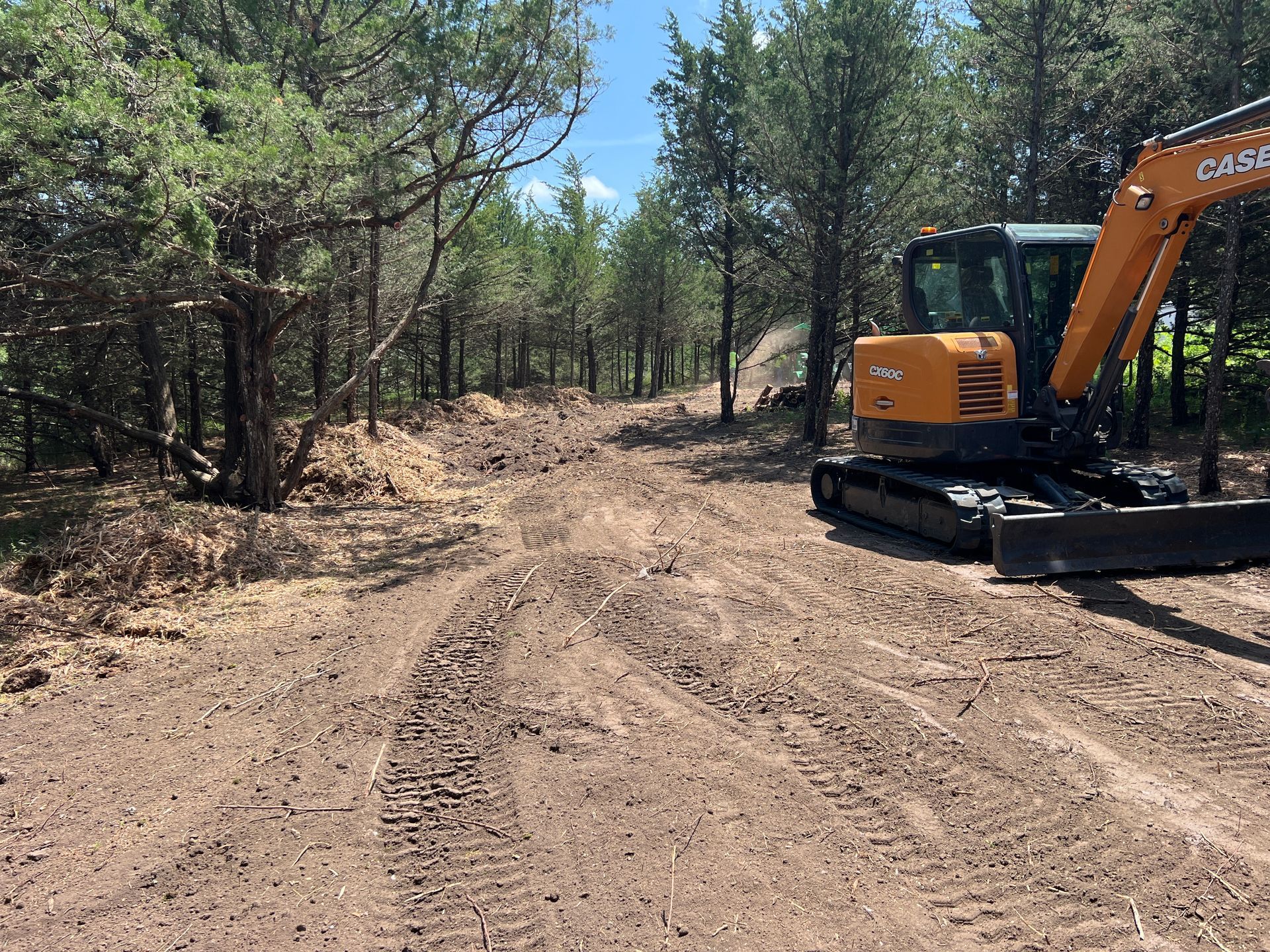 Orange excavator clearing a dirt road through a pine forest under a bright blue sky
