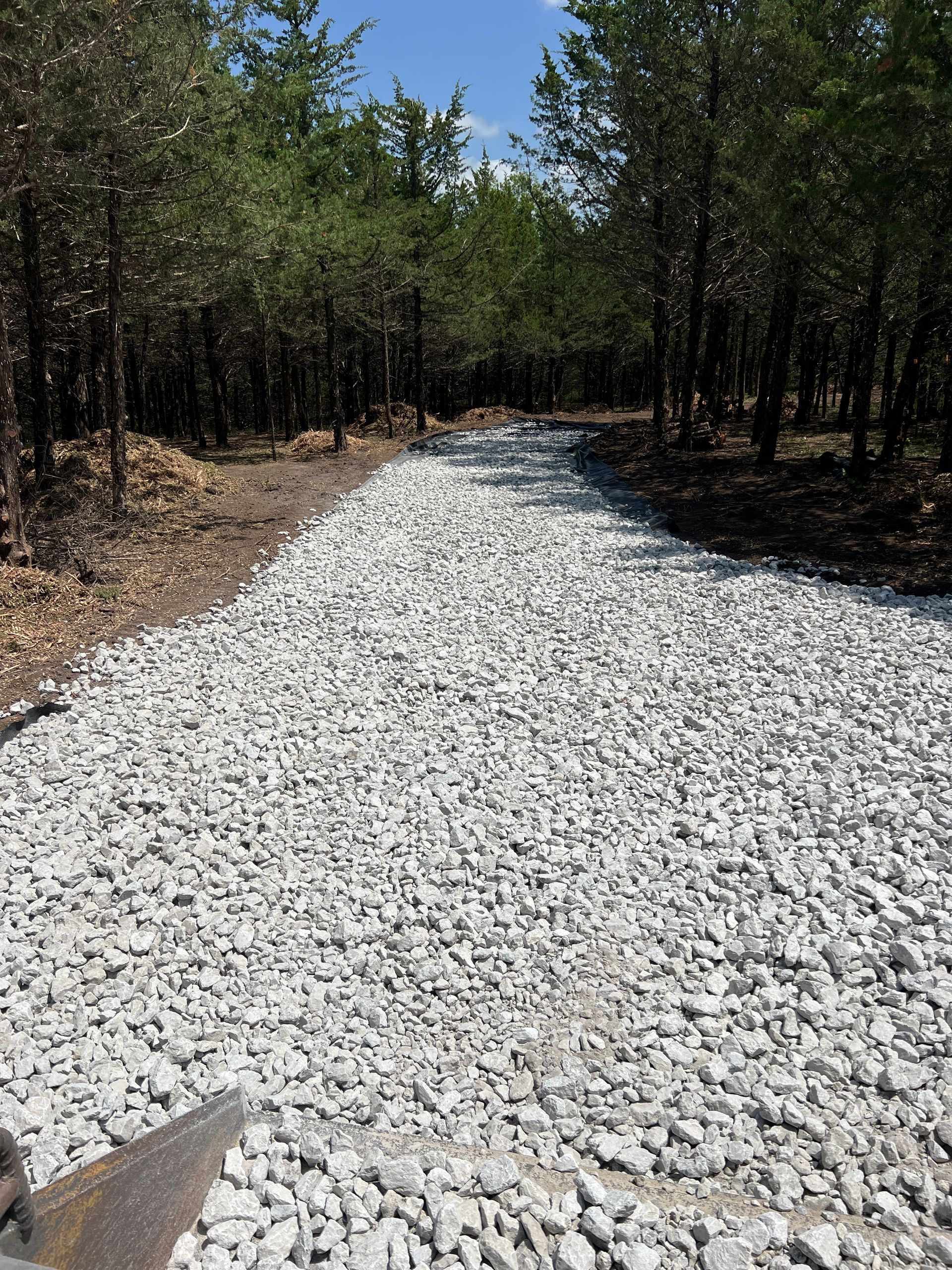 White gravel path winding through a wooded forest under bright sunlight