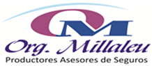 Organización Millaleu