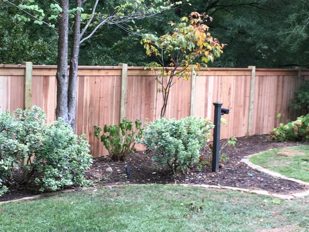 Backyard garden with wooden fence, shrubs, small tree, and lawn edging