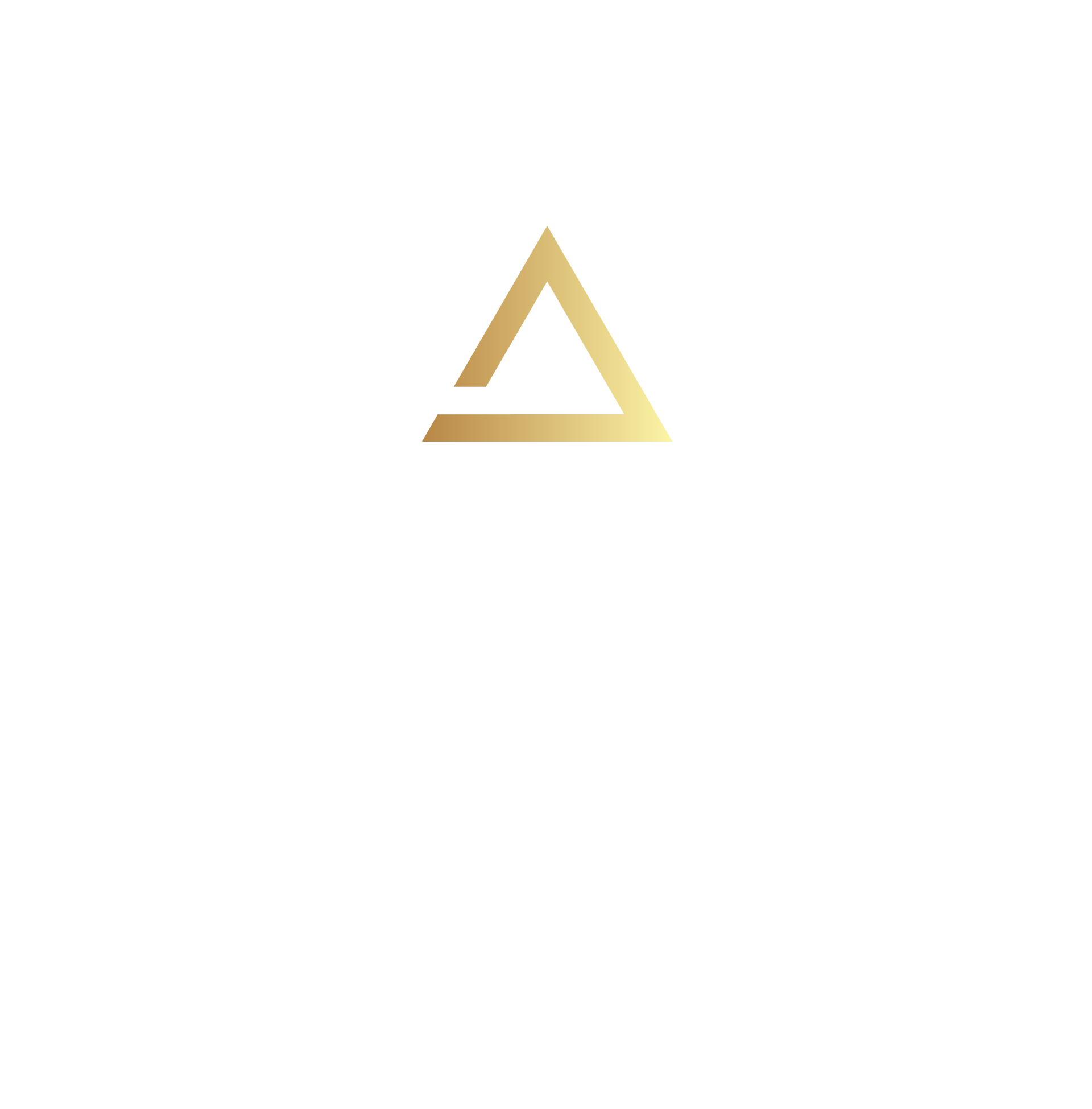 TDF Consulting Logo