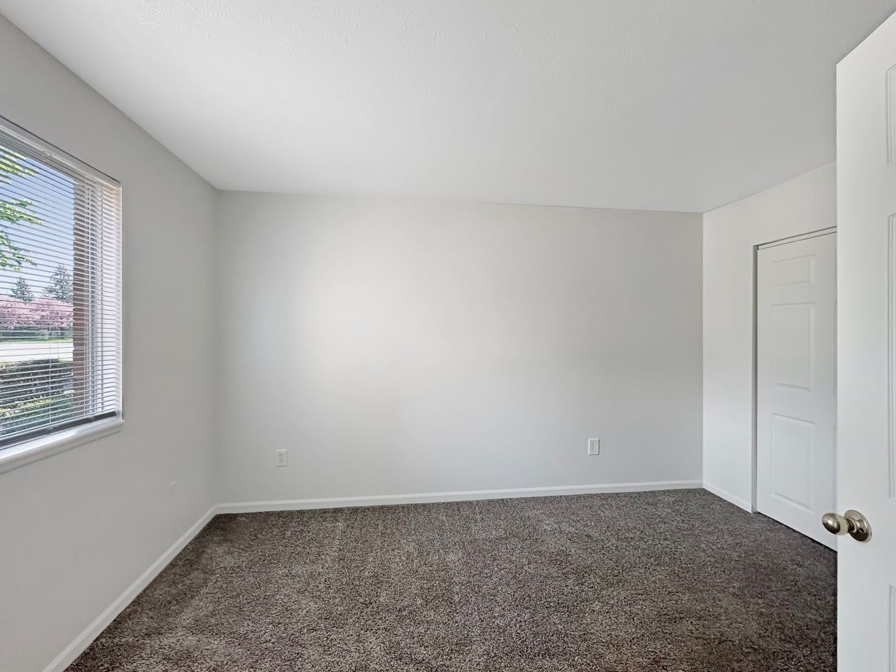An empty bedroom with a window and a brown carpet.