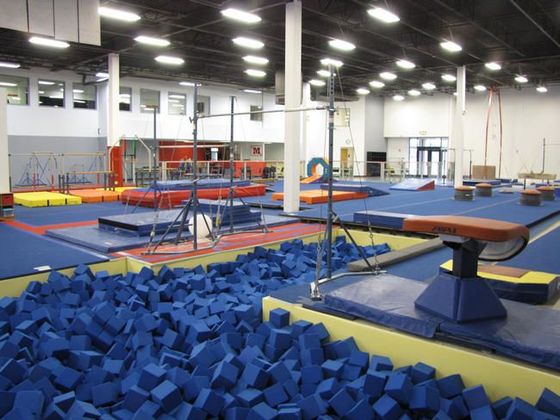 MEGA Gymnastics