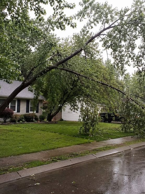 Broken tree branch hanging after storm damage in Jeffersonville, Indiana