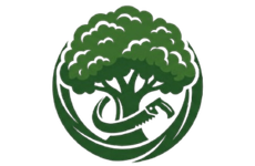 alt=