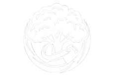 alt=