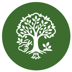 Other Tree Services Illustration