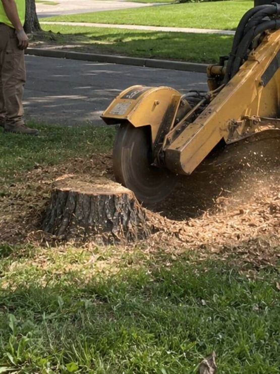 Stump grinding machine removing a tree stump from a residential yard