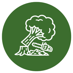 Tree removal service illustration