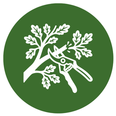 Tree trimming and pruning service illustration