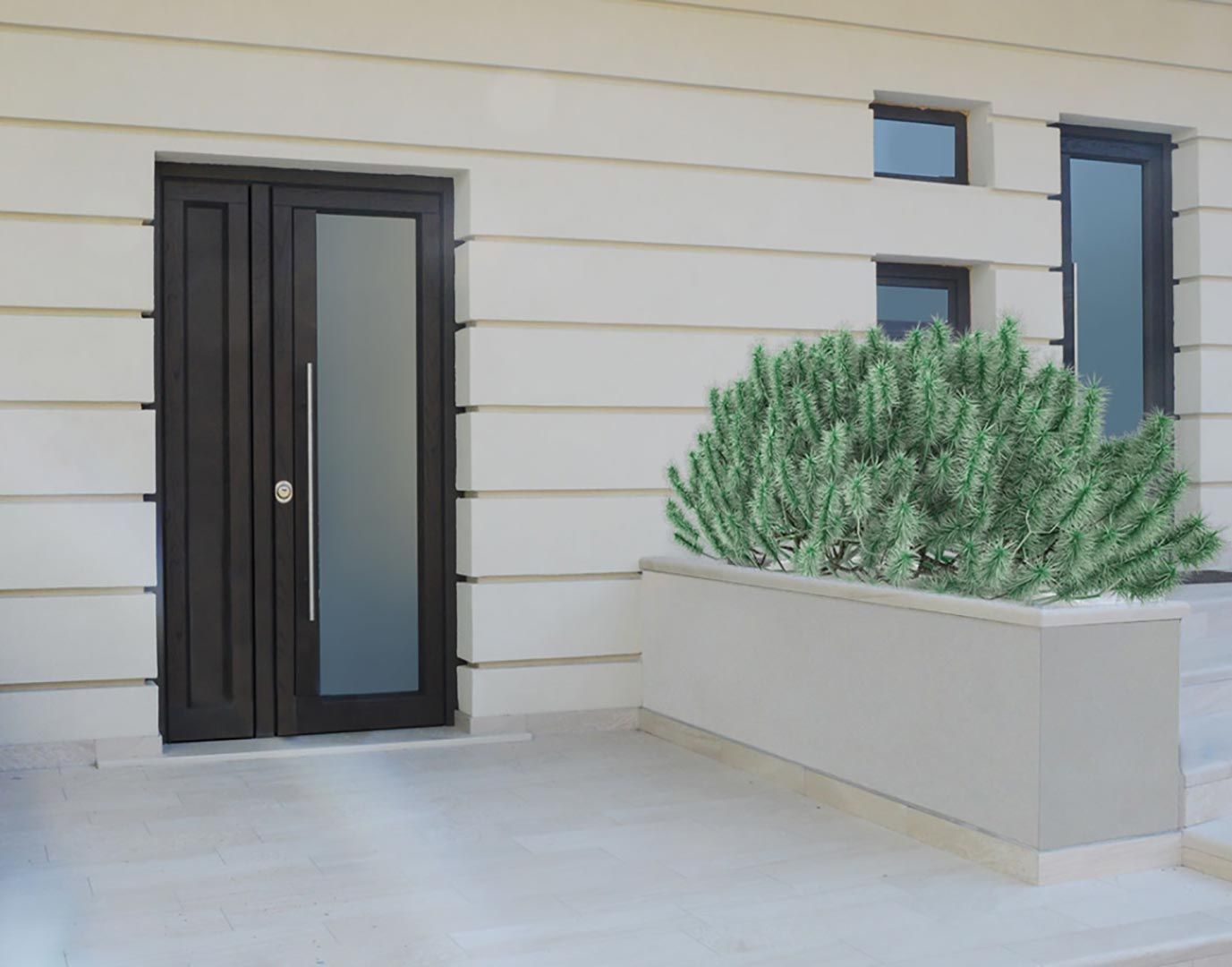 Ingresso di casa moderna con porta nera, rivestimento beige e una grande fioriera di arbusti verdi