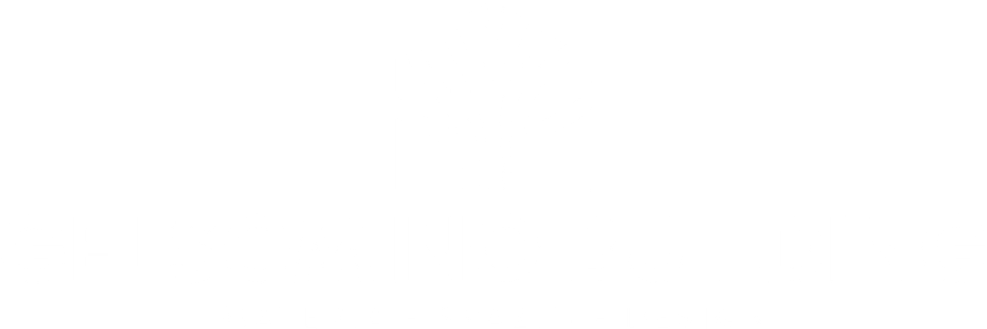 Rettangolo bianco vuoto senza contenuto visibile