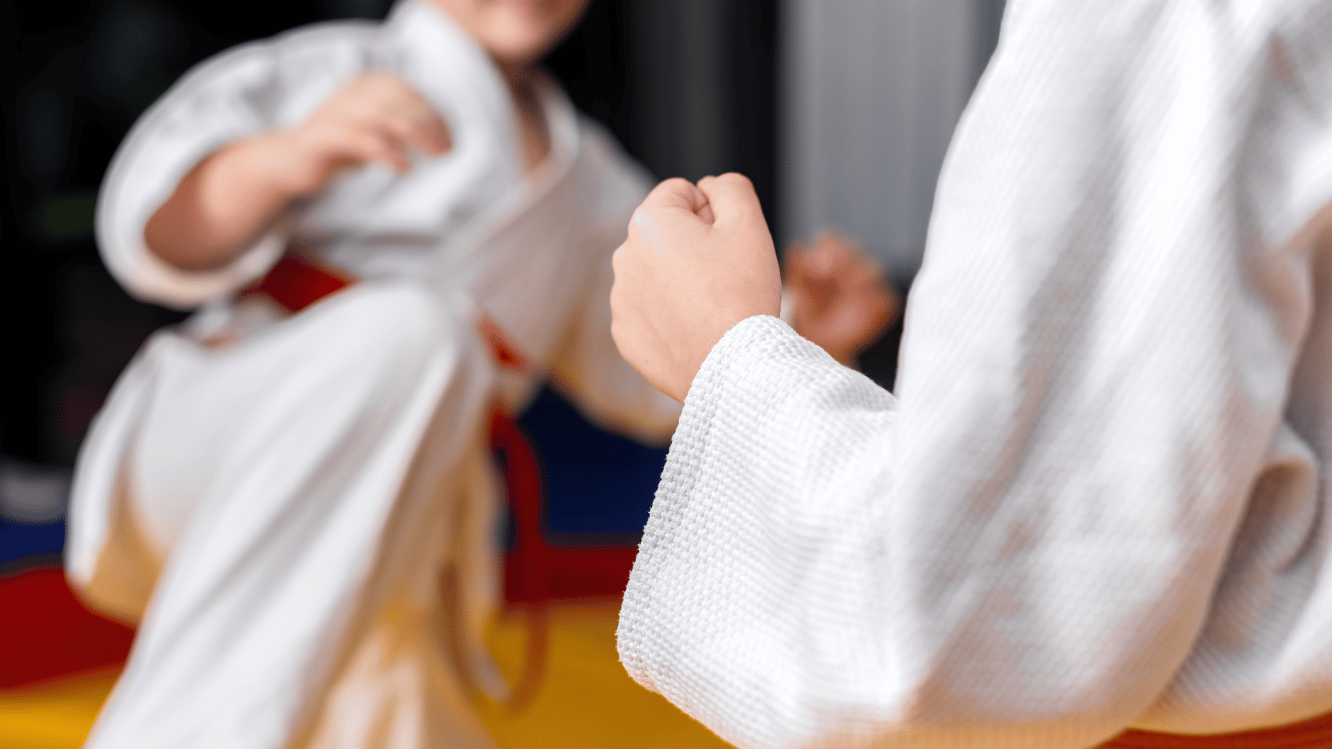 Mixed martial arts training with coaches teaching striking wrestling and grappling techniques in a professional MMA gym