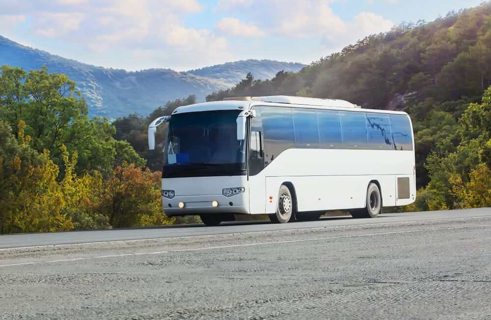 Tourist Bus Ride — Local Bus Hire in Lismore, NSW