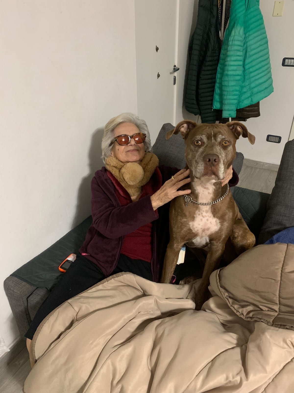 Una persona con indosso una giacca bordeaux e gli occhiali è seduta su un divano e accarezza dolcemente un cane marrone con una macchia bianca sul petto.