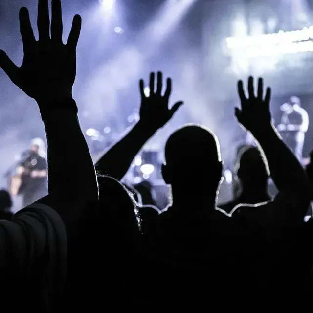 Audience in the praising during the concert