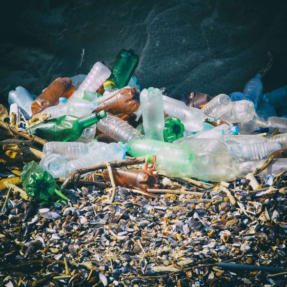rifiuti di plastica