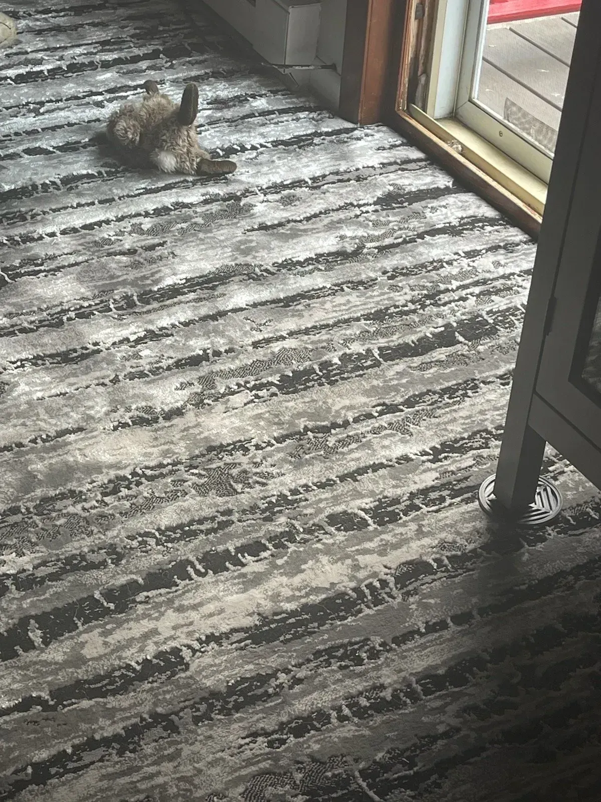 Small fluffy cat sitting on a striped rug near a window and wooden door.