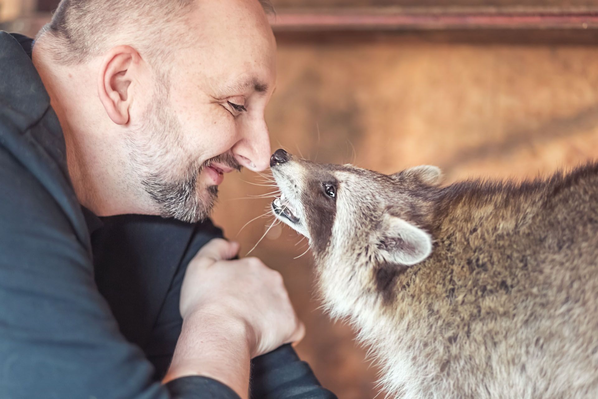 waschbären erleben mit fotoshooting von herztierfotografie