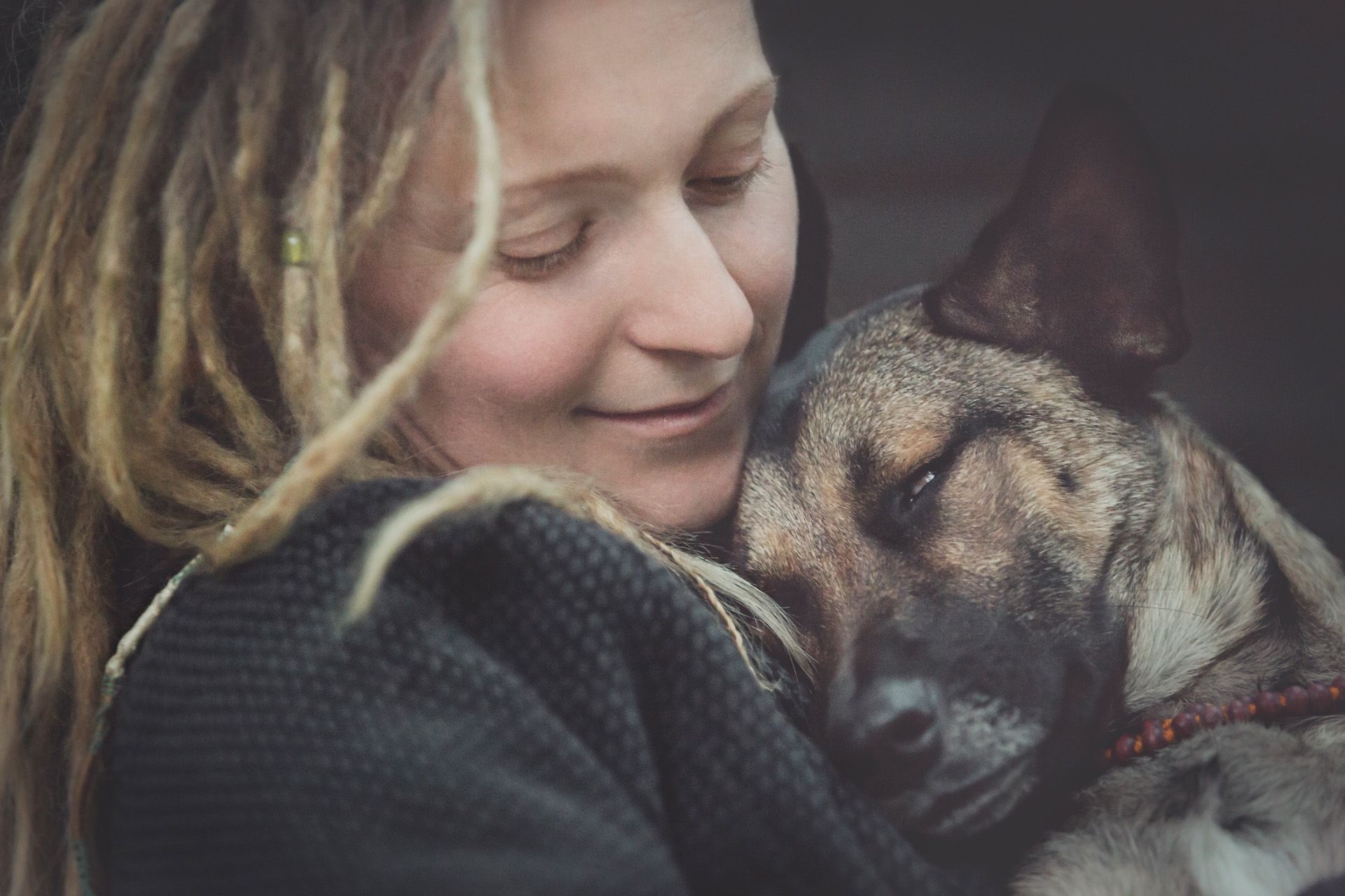 Tier und Mensch Hunde Katzen Pferde Tierfotografie Shooting Thüringen Erfurt Weimar Jena Apolda Arnstadt