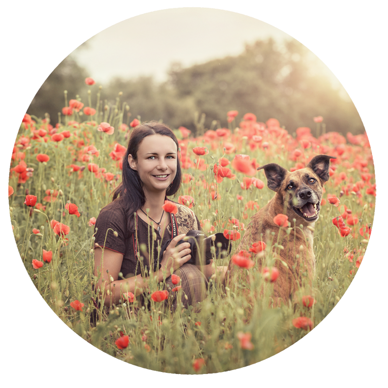 Fotografa di animali Susanne Elendt Cani Gatti Cavalli Shooting