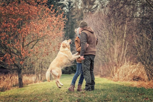 Hunde und ihre Menschen Fotografie - Tierfotografie - Hundeshooting - Küssendes Pärchen und Labrador -  Thüringen Erfurt Jena Eisenach Gera Sondershausen Suhl