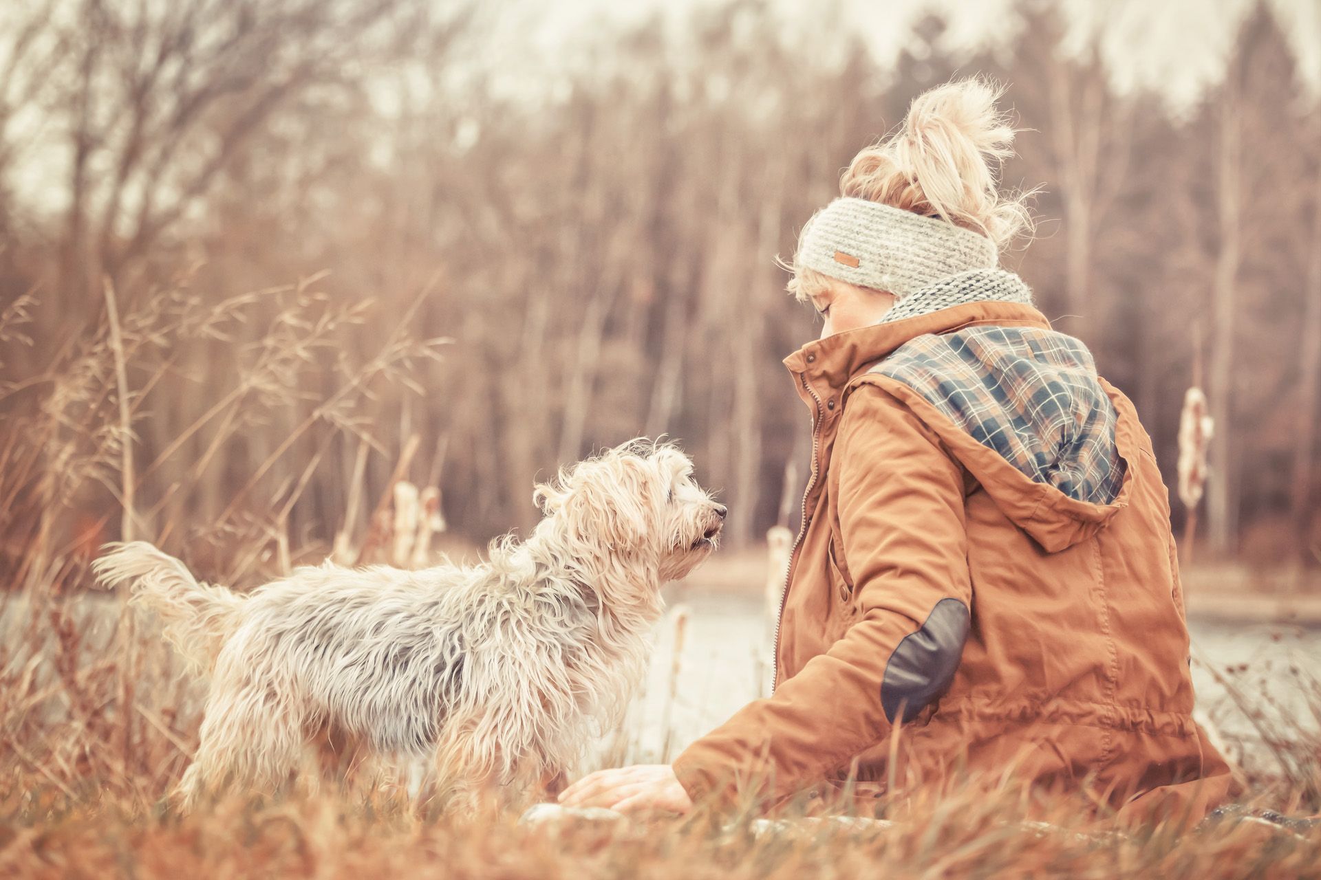 Hundefotografie Tierfotografin Susanne Elendt in Thüringen Erfurt Weimar Jena Gera Suhl Eisenach Sondershausen