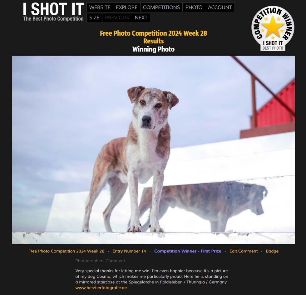 Hundefotoshooting in Thüringen Ausgezeichnete Hundefotografie in Thüringen