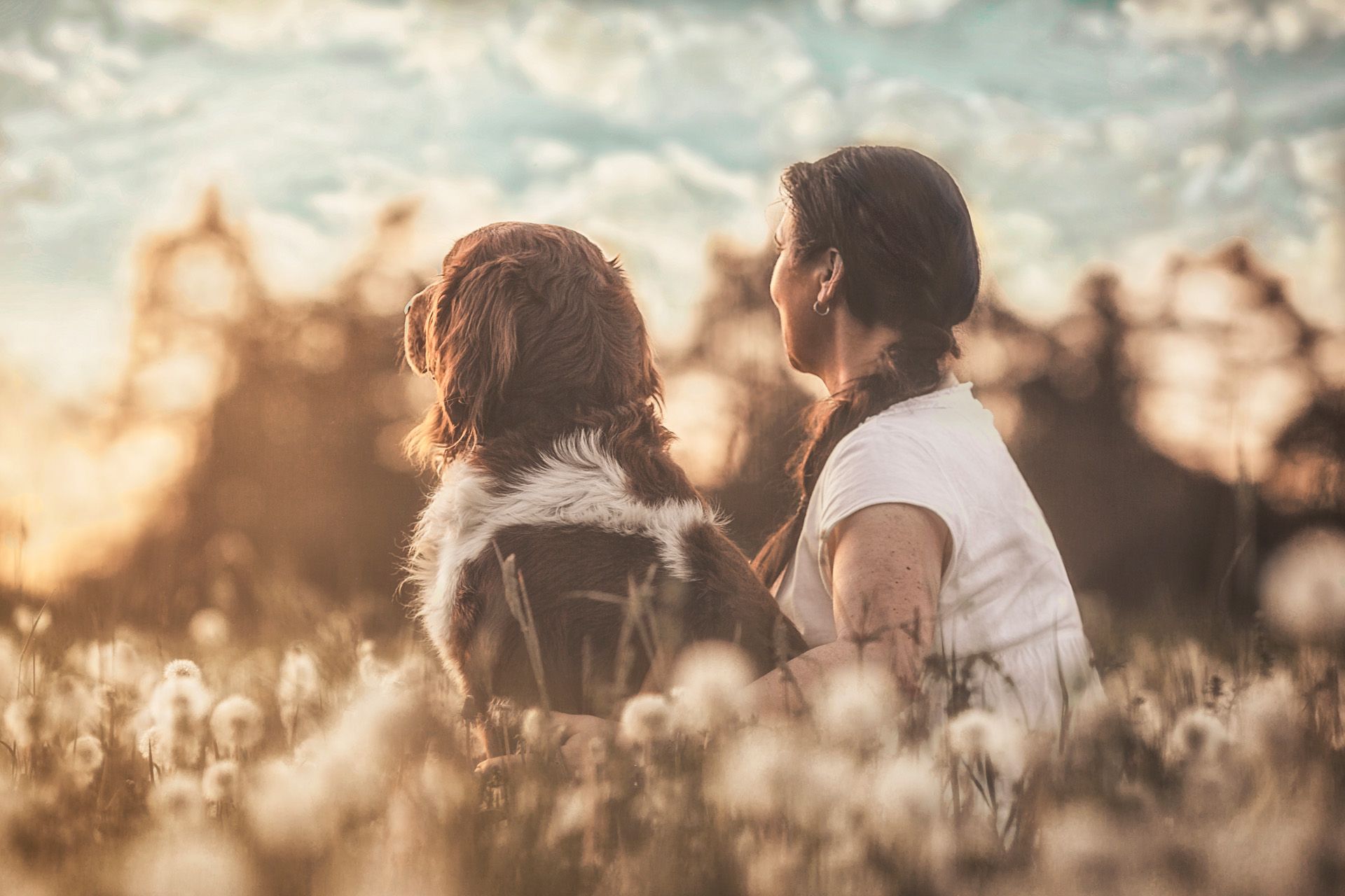 Tier-Mensch-Fotografie Hundeshooting Thüringen Erfurt Weimar Jena Familienbilder mit Hund