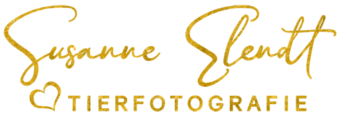 Tierfotografie Susanne Elendt Herztierfotografie Tierfotografie Susanne Elendt Herztierfotografie
