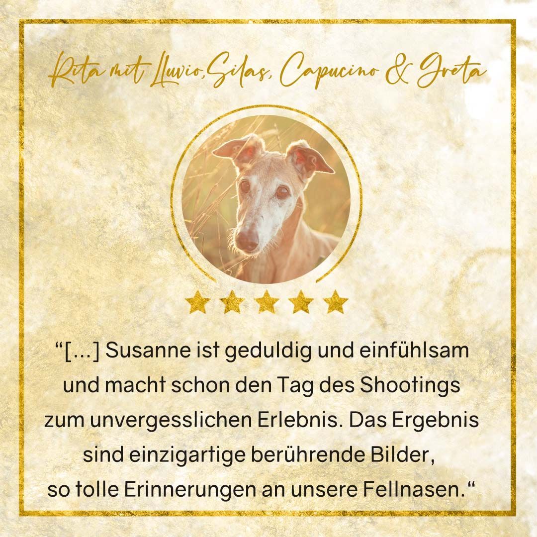 Hundefotografie Thüringen Erfahrung