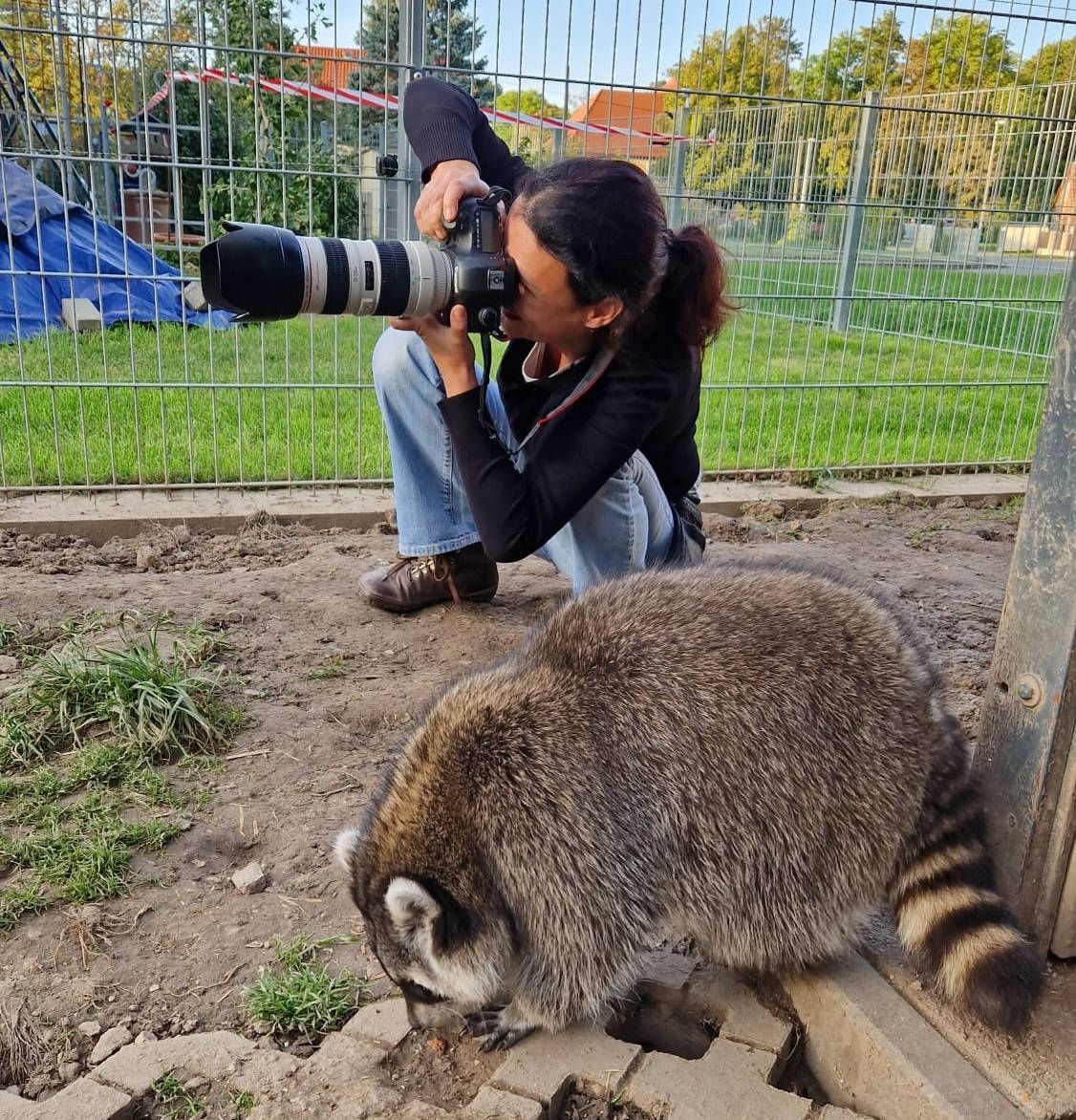 Susanne Elendt Tierfotografie Shootings mit dir und Waschbären
