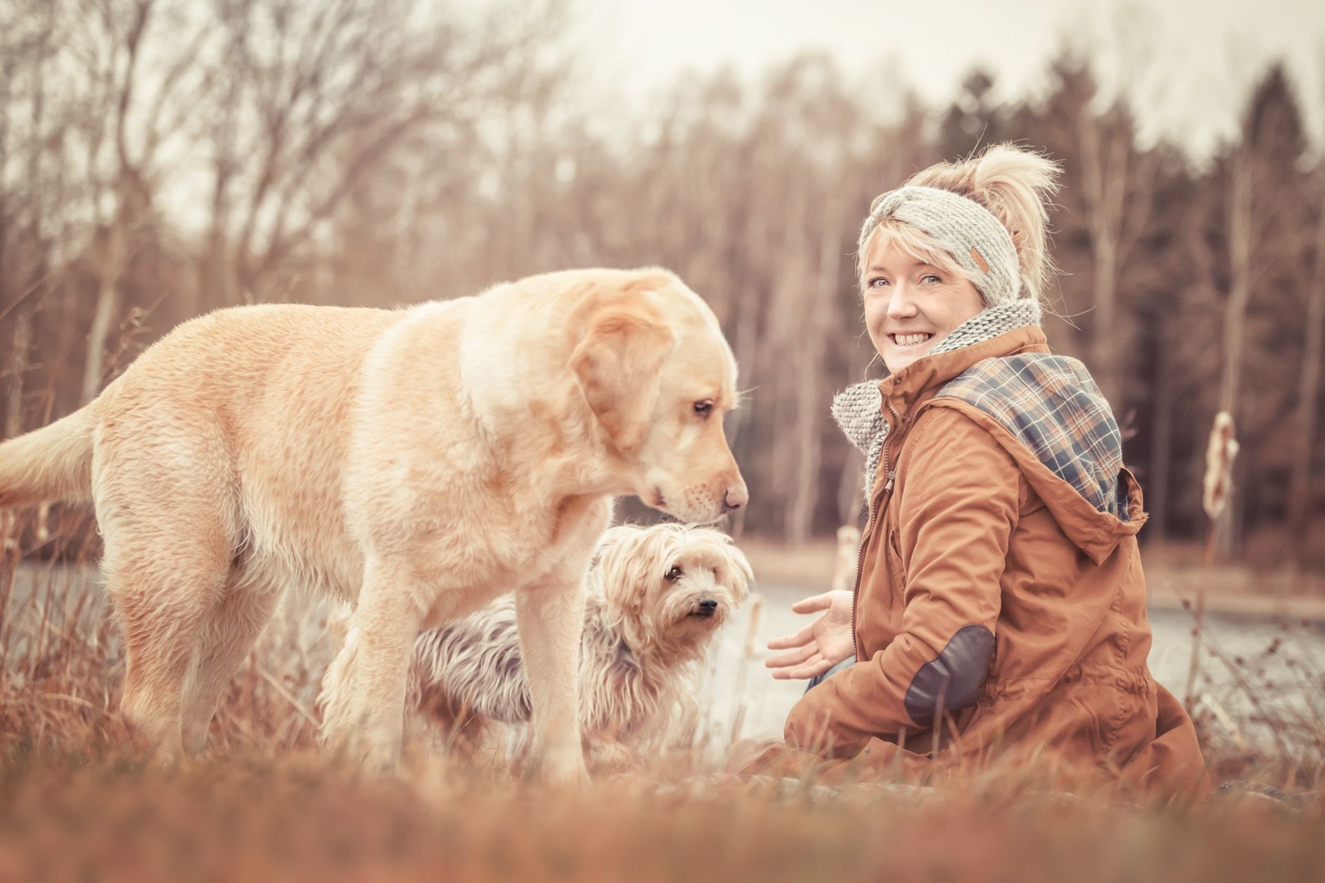 Hundefotografie Tiershootings in Thüringen