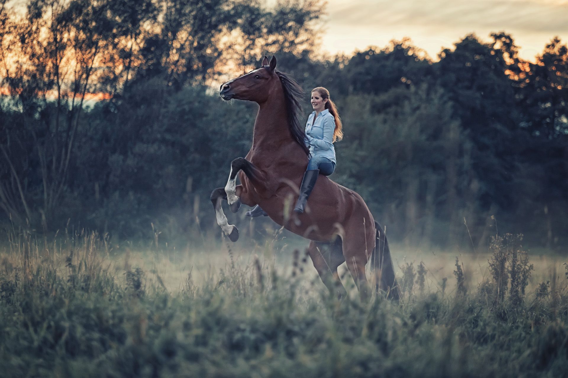 Pferd-Mensch-Fotografie in Thüringen, Tierfotoshootings, Pferdefotografie