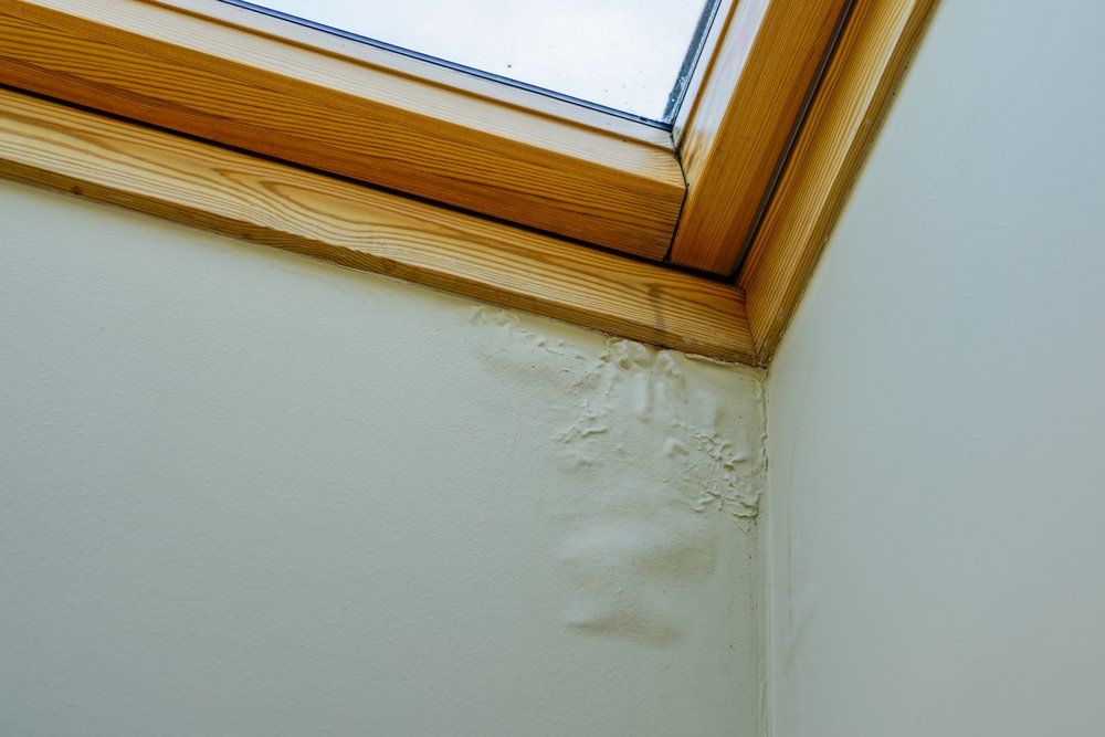 Ceiling corner with water stains and peeling paint near a skylight window