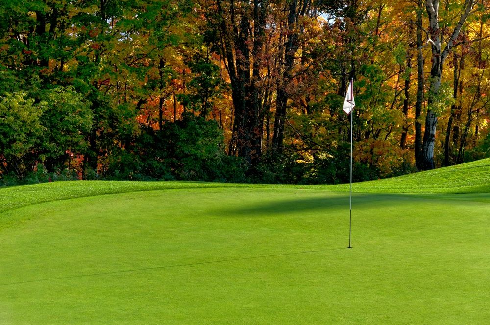A Golf Course With Trees in the Background and a Flag on the Green — Oaks Quality Turf In Wollongong, NSW