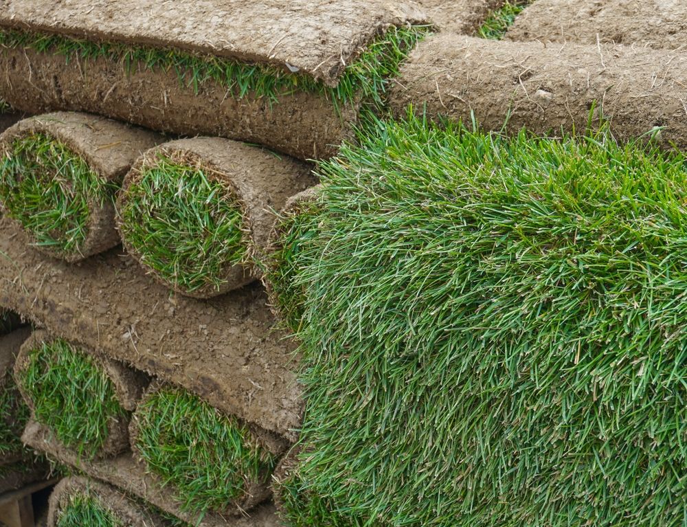 A Pile of Grass Rolls Stacked on Top of Each Other — Oaks Quality Turf In Nowra, NSW