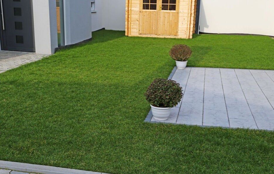 A Lush Green Lawn With a Wooden Shed in the Background — Oaks Quality Turf In Coolangatta, NSW