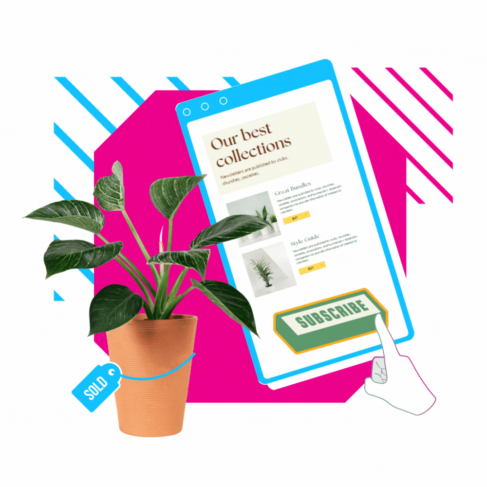 Email marketing services fineder a bold digital marketing agency