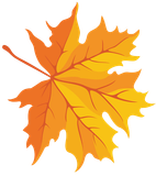 POLLIOTTO FAVICON