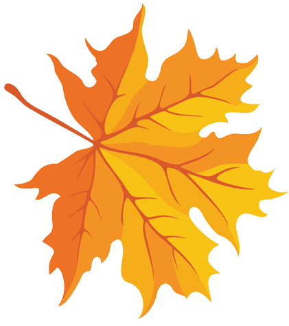 POLLIOTTO FAVICON