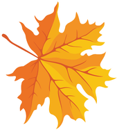 POLLIOTTO FAVICON