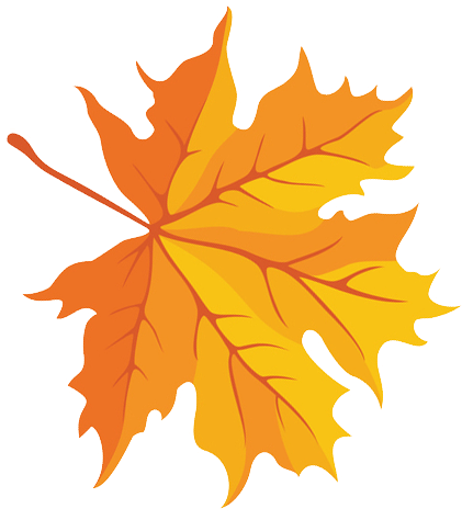 POLLIOTTO FAVICON