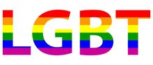 LGBT — Miami, FL & Sunrise, FL — Elite Designer Wigs & Hair Extensions LGBT — Miami, FL & Sunrise, FL — Elite Designer Wigs & Hair Extensions