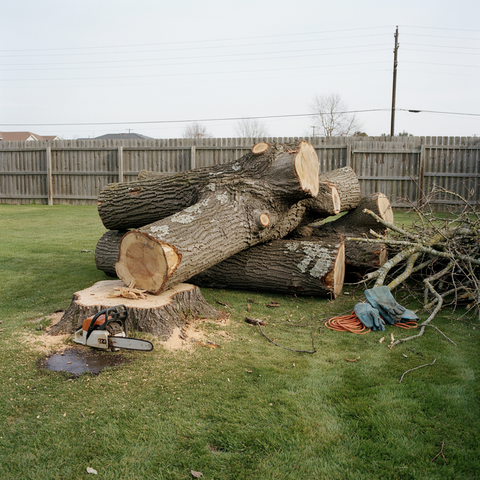 An arborist wearing safety gear uses a chainsaw to trim a tree branch from a yellow aerial lift bucket.
